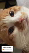 jiw_____n Altpins Profile Picture