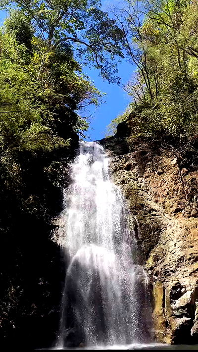 taylor.creeden taylor.creeden archive video