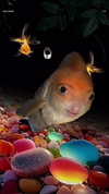 cellow111 Altpins Profile Picture