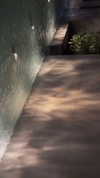ann.shellll Altpins Profile Picture