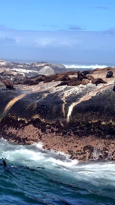 taylor.creeden taylor.creeden archive video