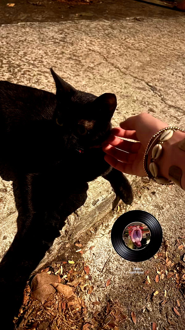 lila.clarkson archive video preview