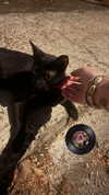 lila.clarkson Altpins Profile Picture