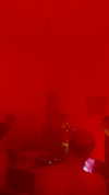 liya.barsky Altpins Profile Picture