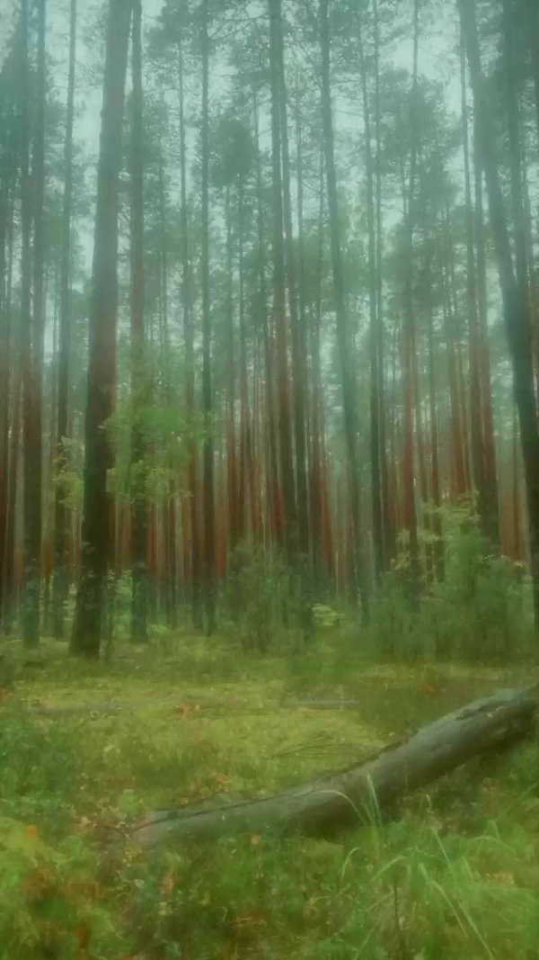 danafetishistova archive video preview