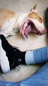 _mashachka_ Altpins Profile Picture