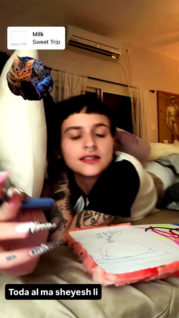 strawberryshans archive video preview