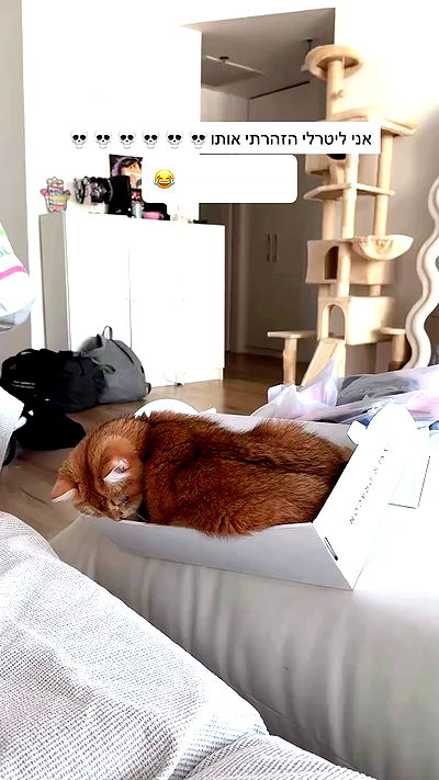 itsilanosh itsilanosh archive video