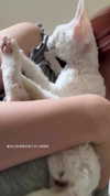 jiw_____n Altpins Profile Picture