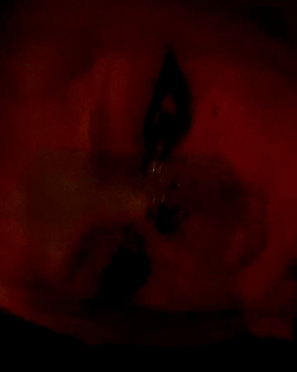 camila_kal archive video preview