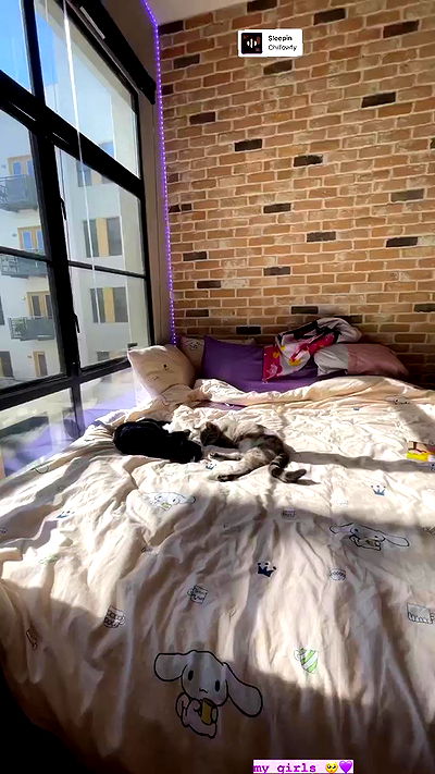 suikomuu suikomuu archive video