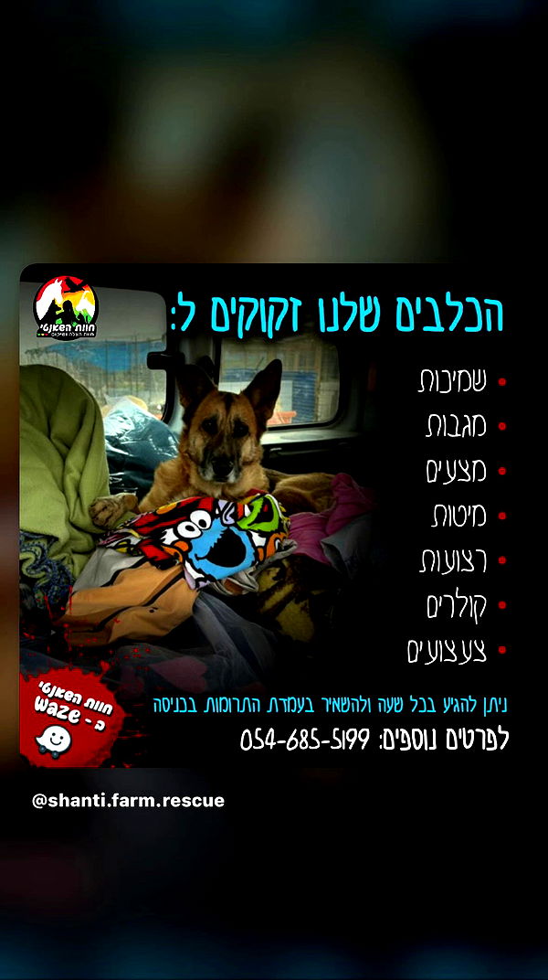 noyaislilith333 archive video preview