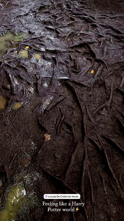 taylor.creeden taylor.creeden archive video