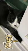 yuna_1_27 Altpins Profile Picture
