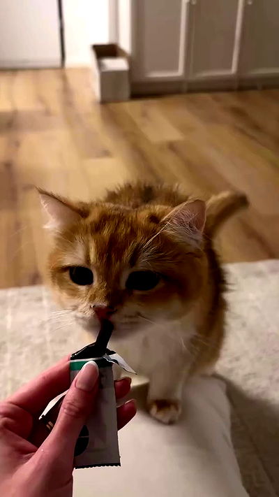 itsilanosh itsilanosh archive video