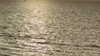 efrat_elmalich Altpins Profile Picture
