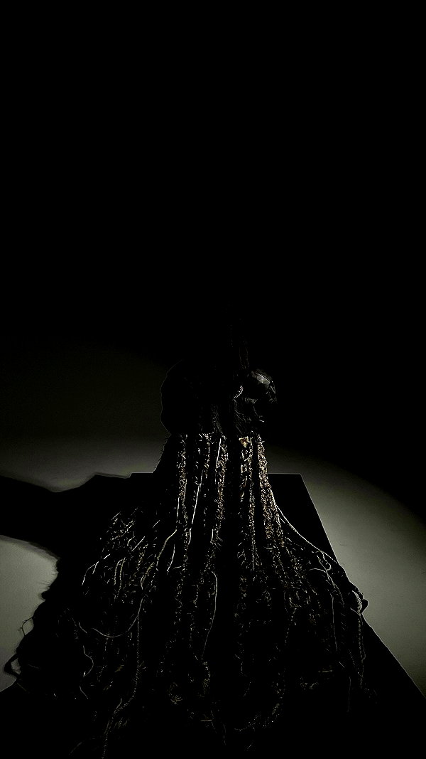 vvvierness archive video preview