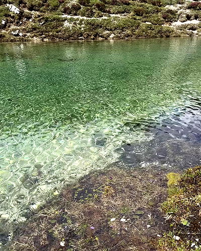 taylor.creeden taylor.creeden archive video