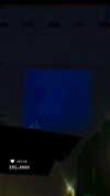 nicole_ac Altpins Profile Picture