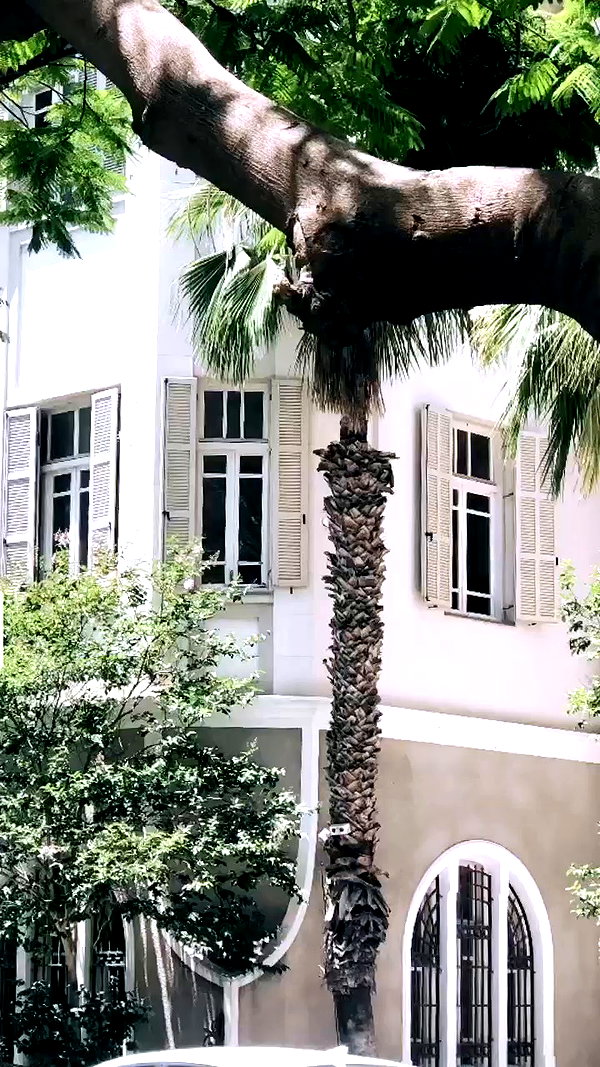 _.shelichka._ archive video preview