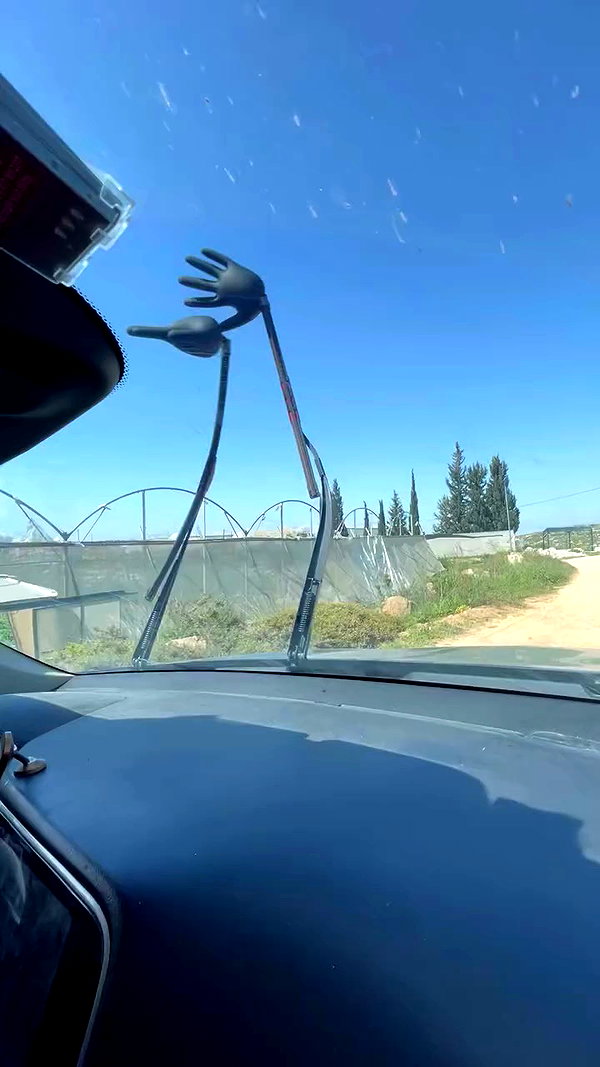 shvuty__ archive video preview