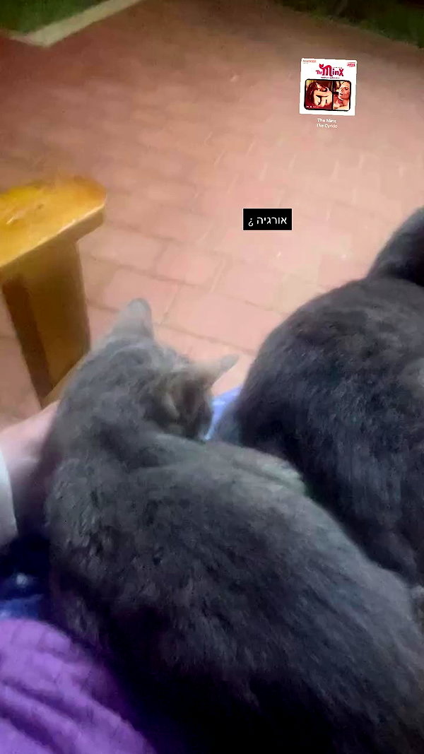 mia_rihan_ archive video preview