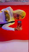 vik4au Altpins Profile Picture