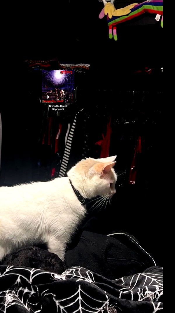 butter.on.a.poptart69 archive video preview