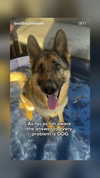emily_new2 Altpins Profile Picture