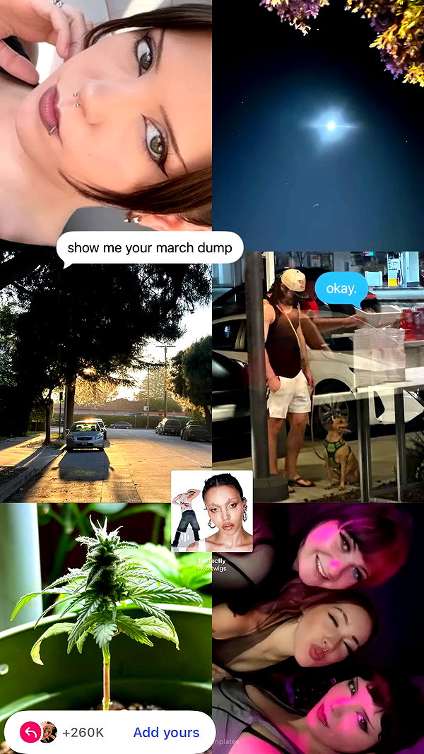 haileylayfield archive video preview