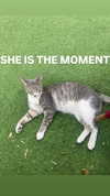 babynympho_archive Altpins Profile Picture