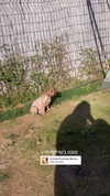 nicole.shpo Altpins Profile Picture
