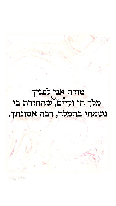 _lil_noa_ _lil_noa_ archive video