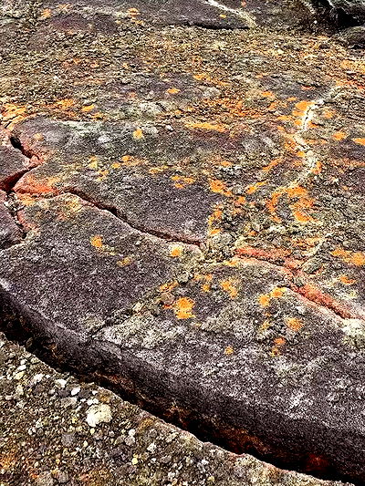 taylor.creeden taylor.creeden archive video