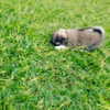 gabbyepstein Altpins Profile Picture