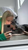 taylorcattanach Altpins Profile Picture