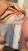sabiyo Altpins Profile Picture