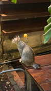cattia.ttv_ Altpins Profile Picture