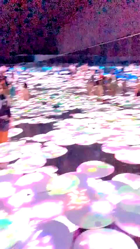 taylorballarddd archive video preview