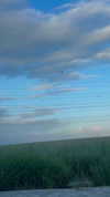 yuli.barell Altpins Profile Picture