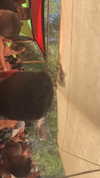 _lironatias Altpins Profile Picture