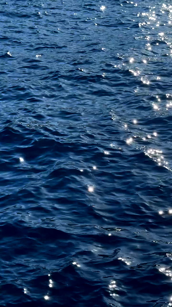 sabrvna archive video preview