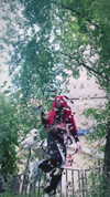 vik4au Altpins Profile Picture