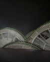 daniella_zeldis Altpins Profile Picture