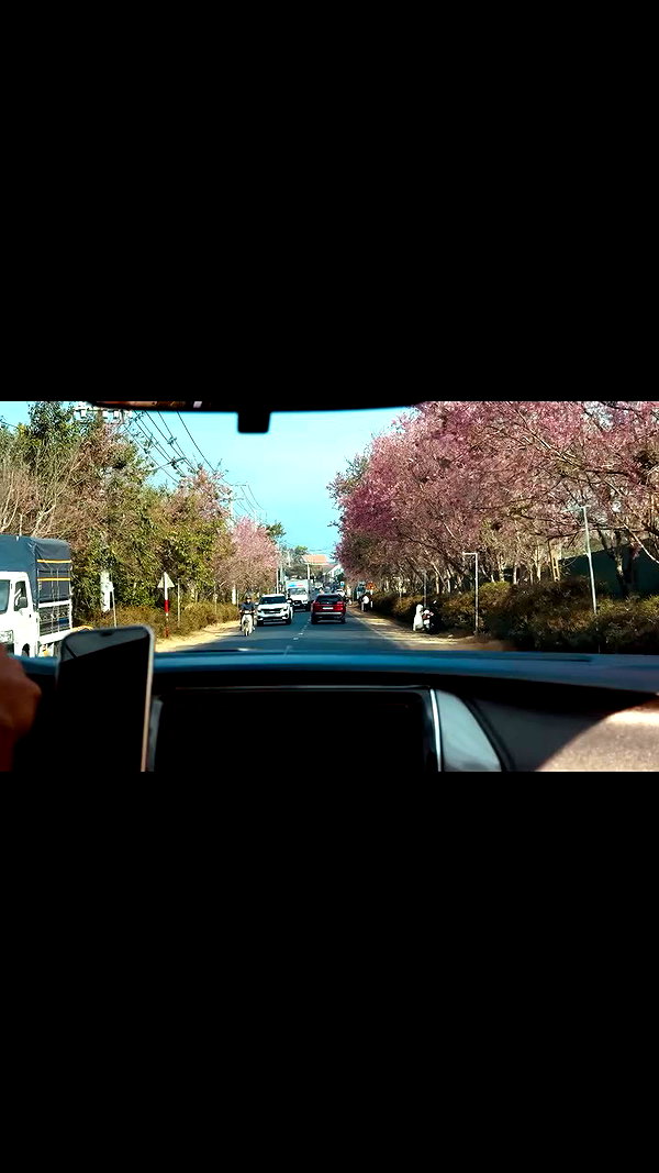 ttnguien_ archive video preview