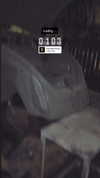 roee_mor_62 Altpins Profile Picture