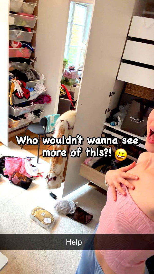linzor archive video preview