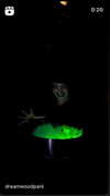 saaay_nas Altpins Profile Picture