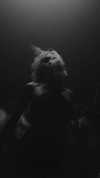 mileycyrus Altpins Profile Picture