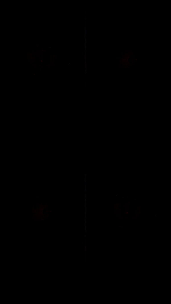 gottaluvkresha archive video preview